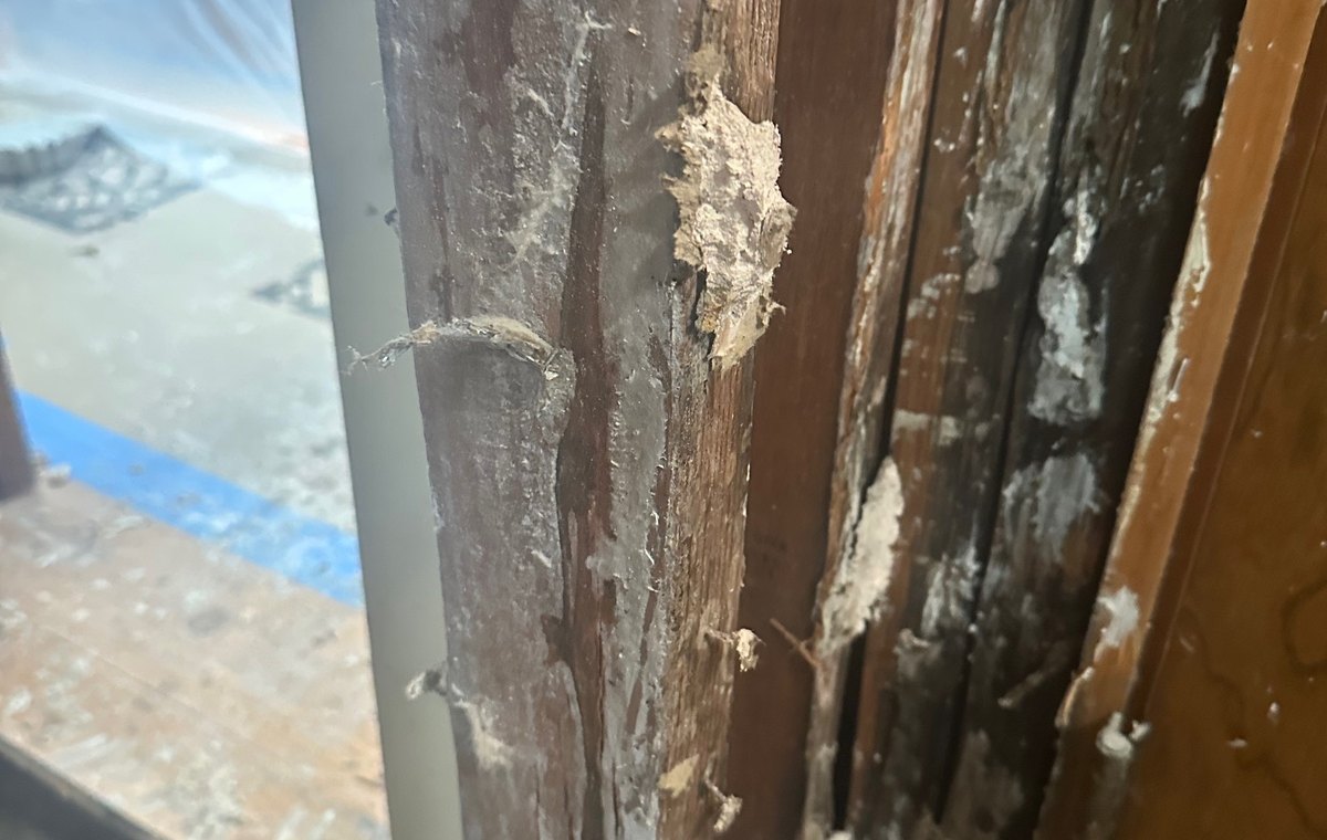 Damage - Bay Wide Plumbing