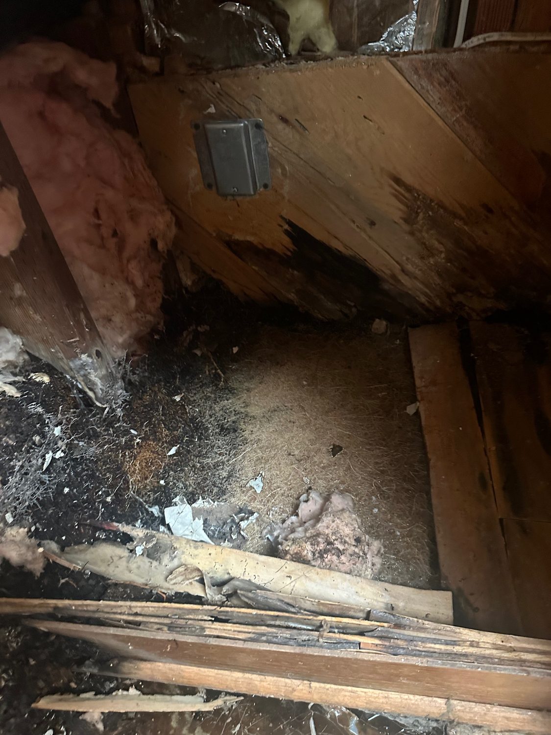 Floor Damage Root Repair Mateo - Bay Wide Plumbing