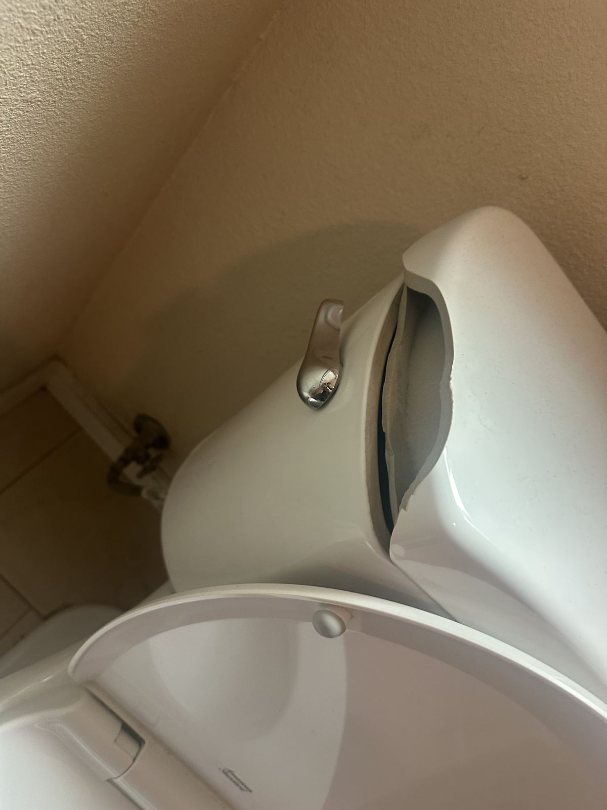 Plumbing Repair New Toilet San Leandro - Bay Wide Plumbing, Heating & Air