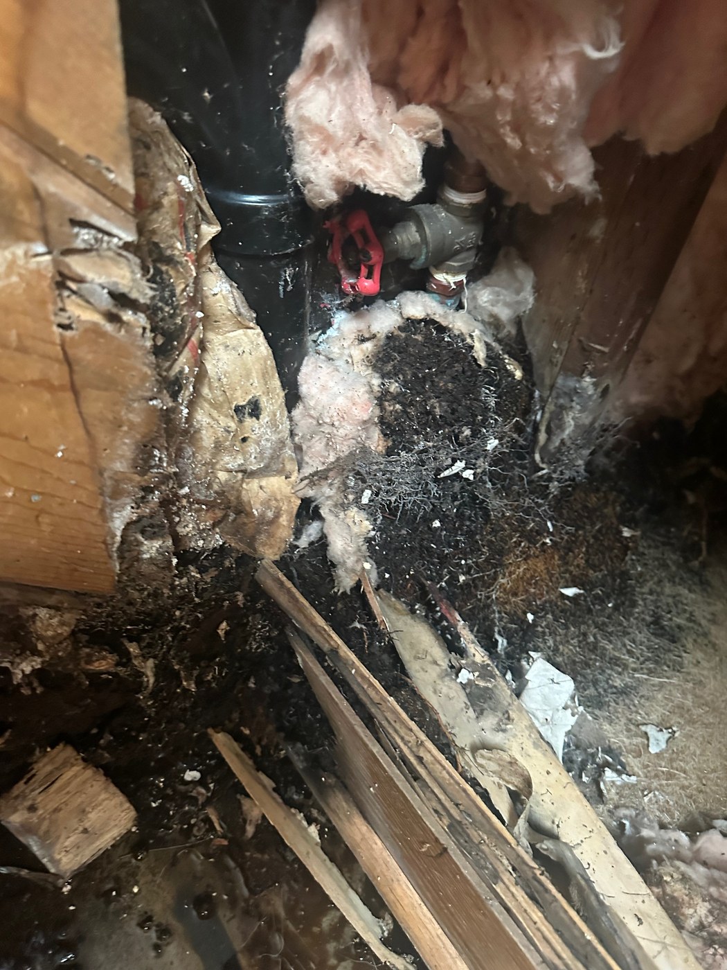 Emergency water damage repair