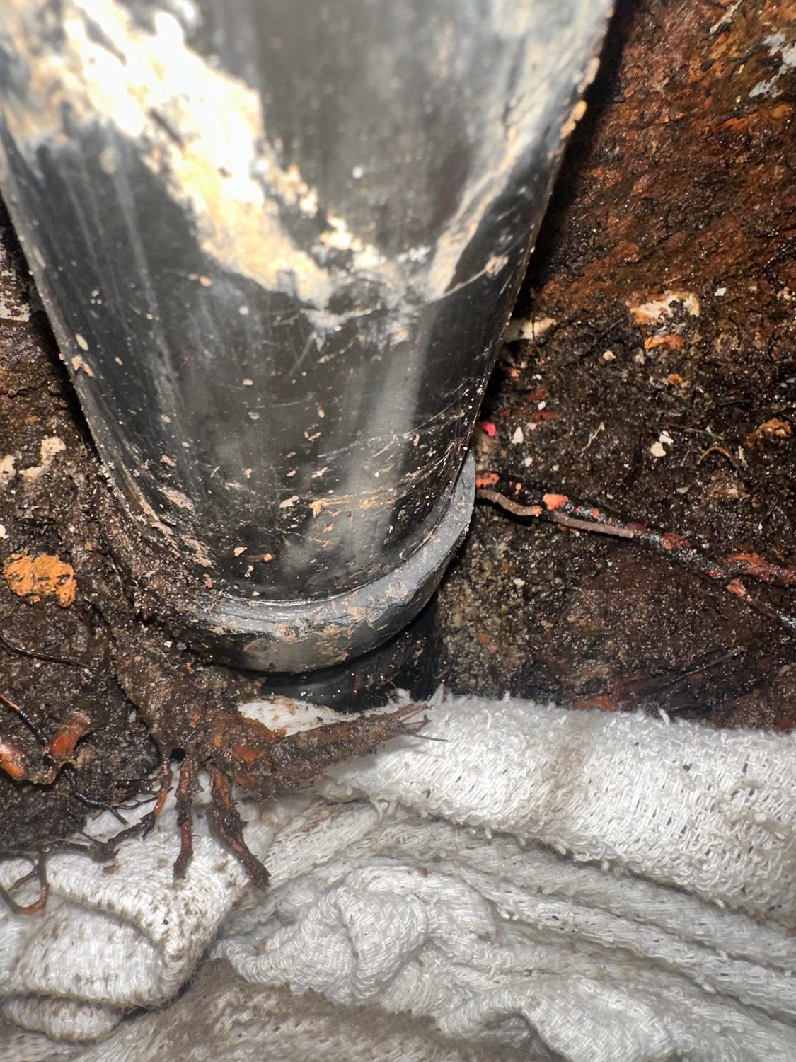 Emergency plumbing article