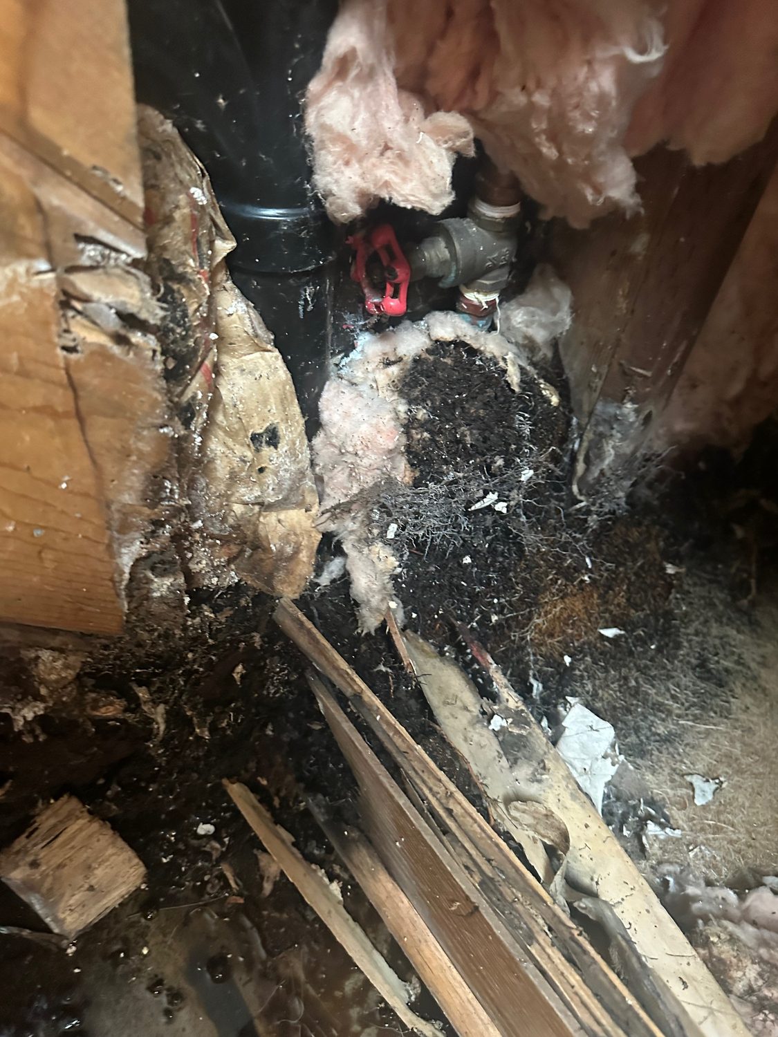 Leak Valve Repair Roots - Bay Wide Plumbing