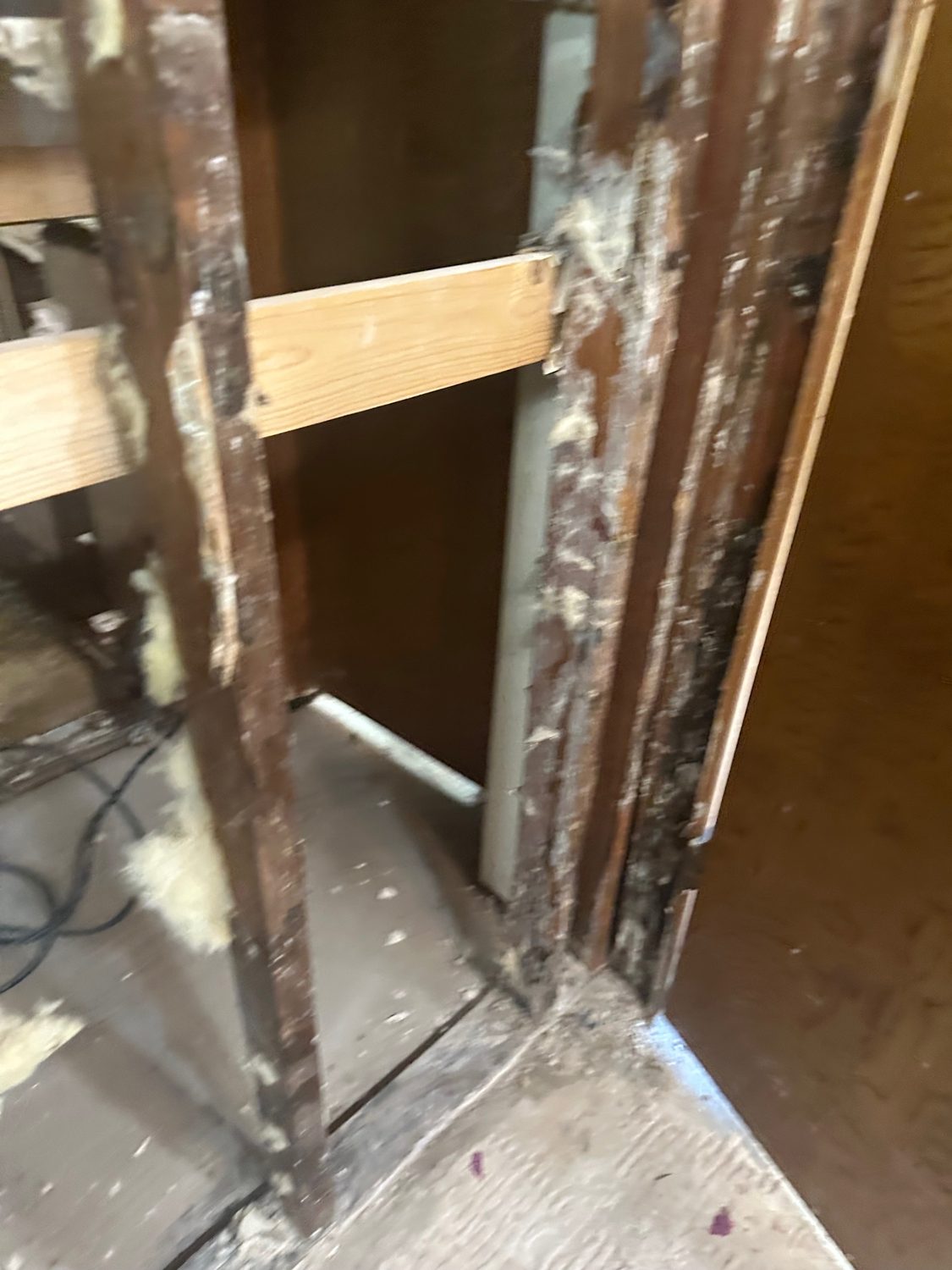 Mold Emergency Remediation Atherton - Bay Wide Plumbing