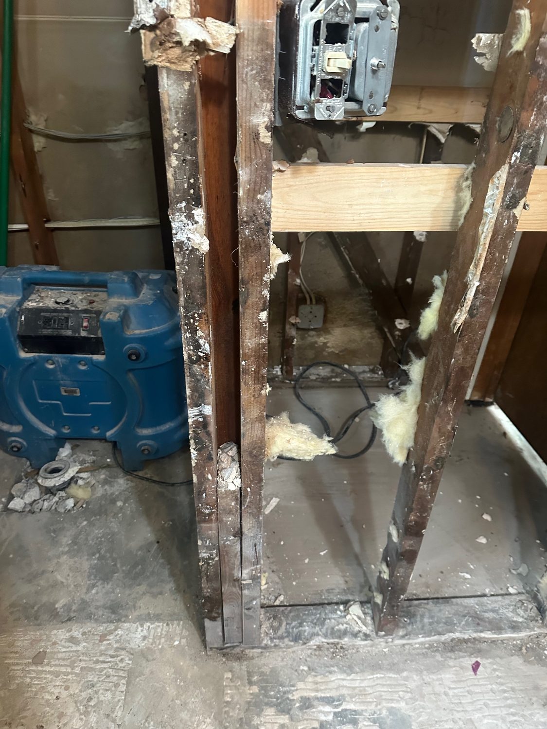 Mold Remediation Emergency Saratoga - Bay Wide Plumbing