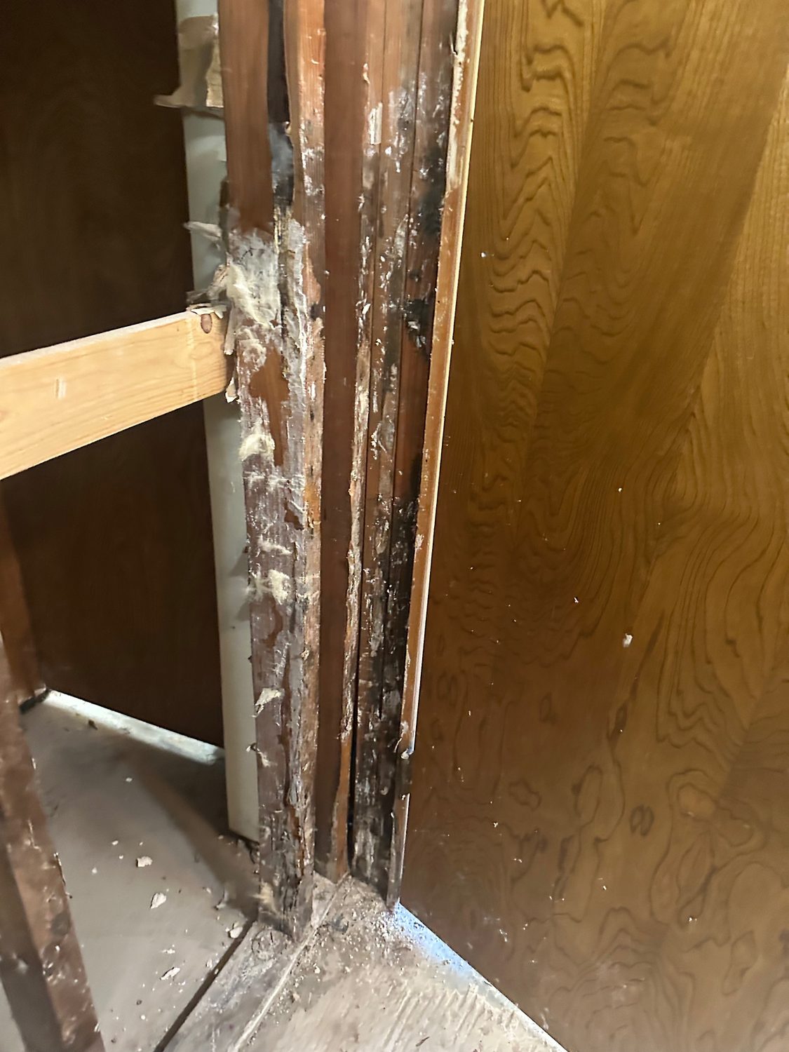 Mold Remediation Palo Alto - Bay Wide Plumbing