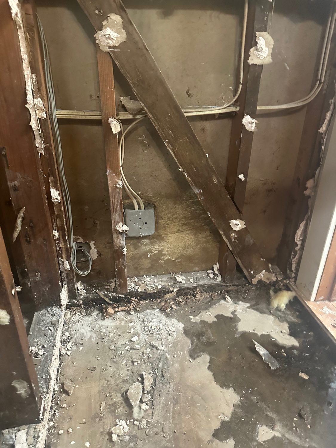 Mold Remediation Repair Sartoga - Bay Wide Plumbing