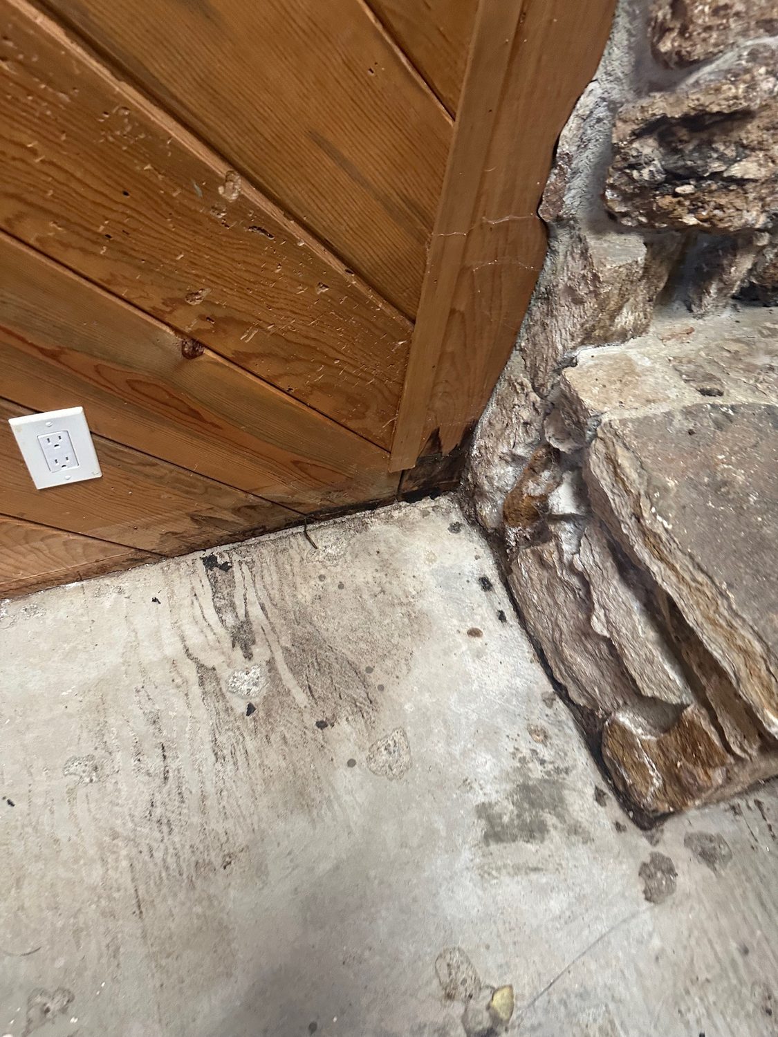 Mold Remediation Saratoga - Bay Wide Plumbing