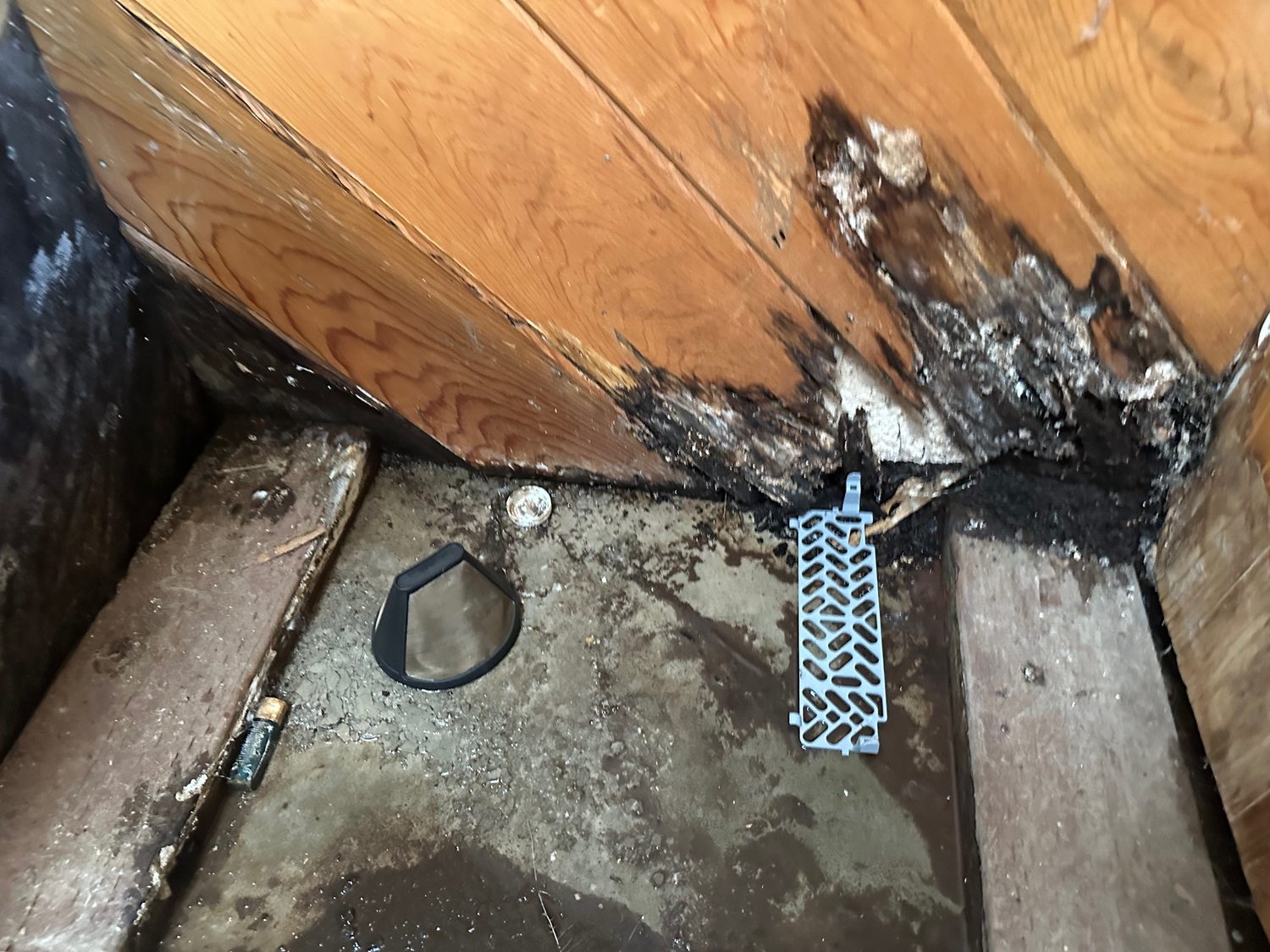 Mold Sewer Remediation - Bay Wide Plumbing