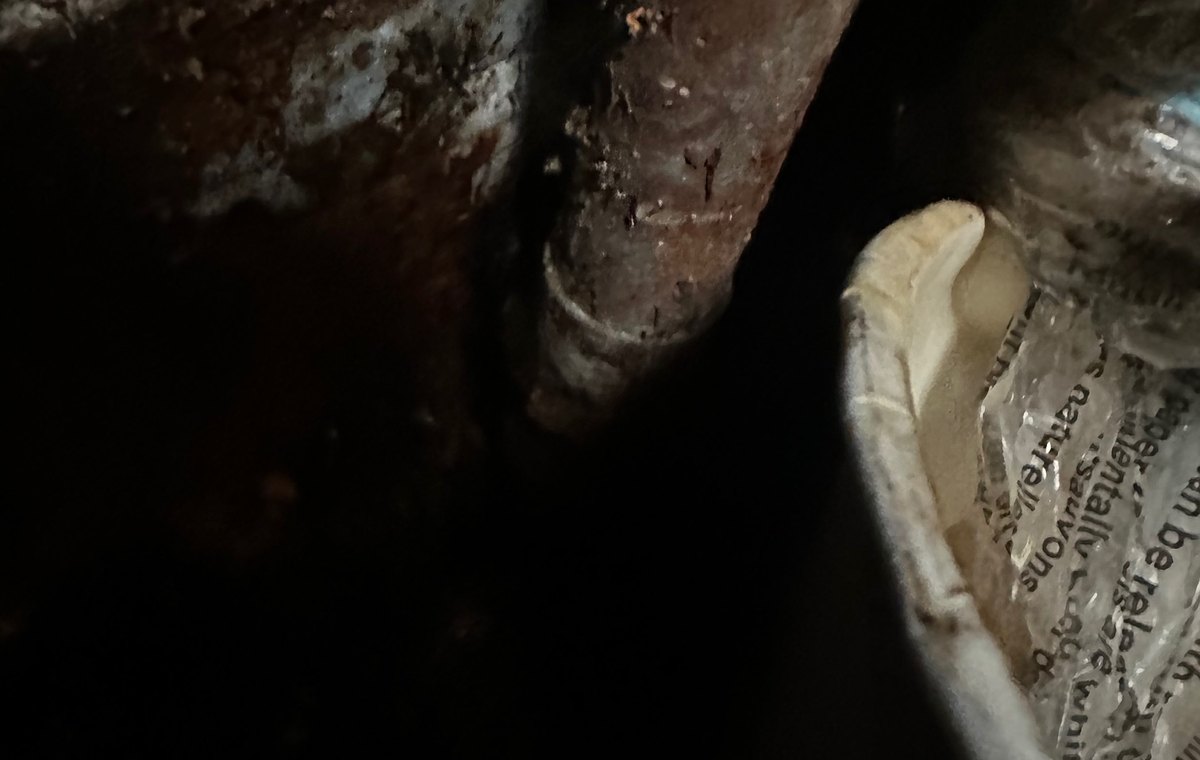 Sewer - Bay Wide Plumbing