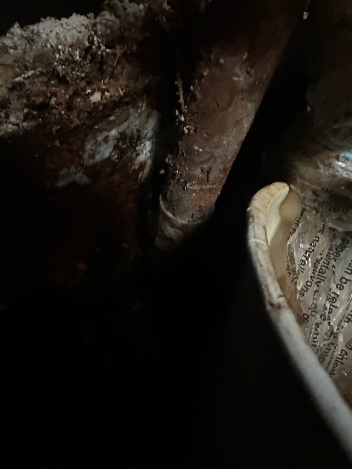 Sewer line backup article
