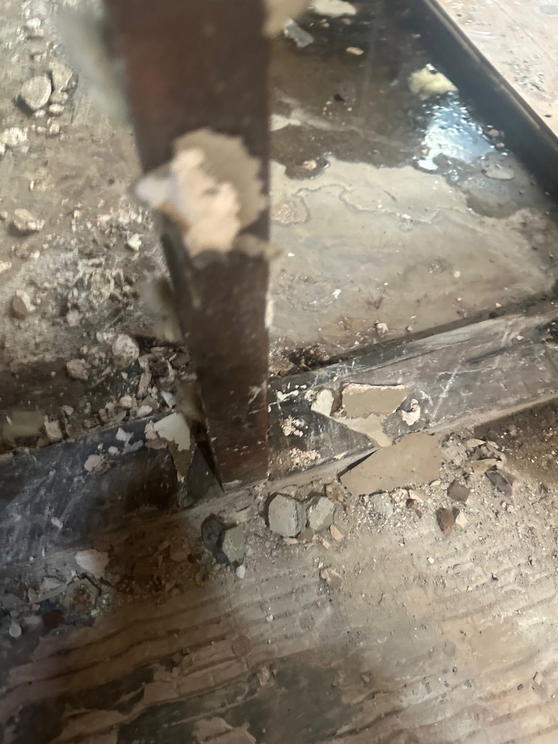 Sewer Water Mold Remediation Campbell - Bay Wide Plumbing