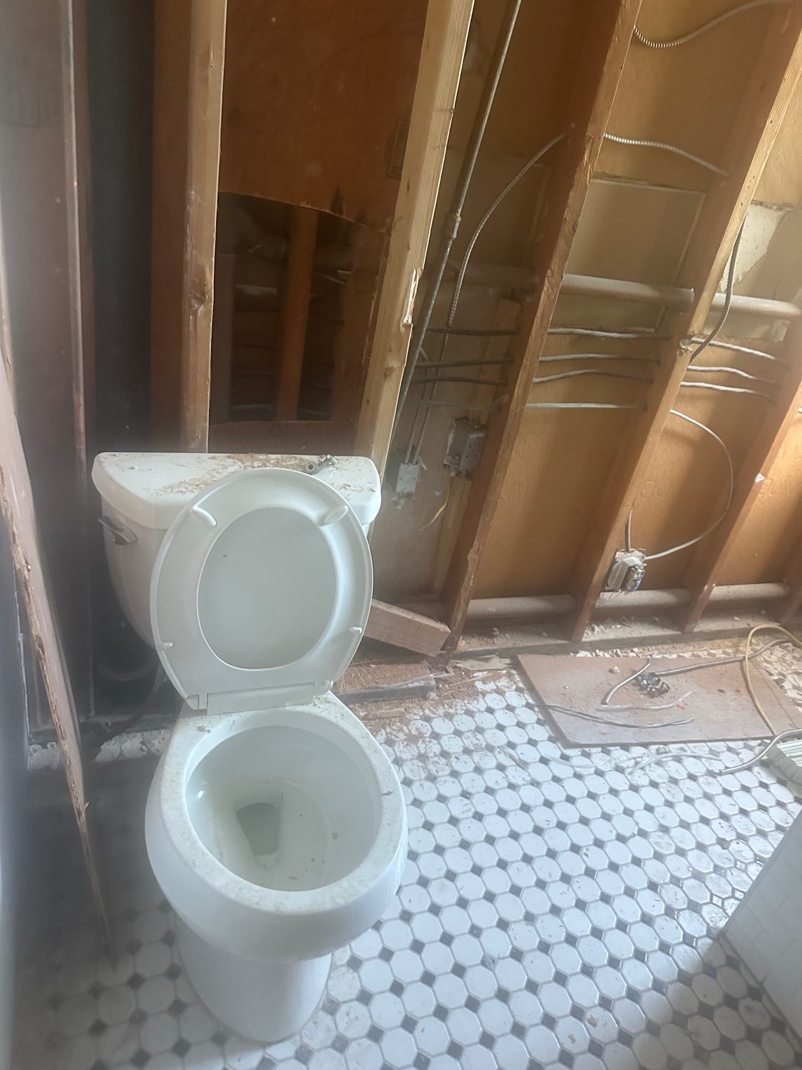 Toilet Replace New Construction - Bay Wide Plumbing
